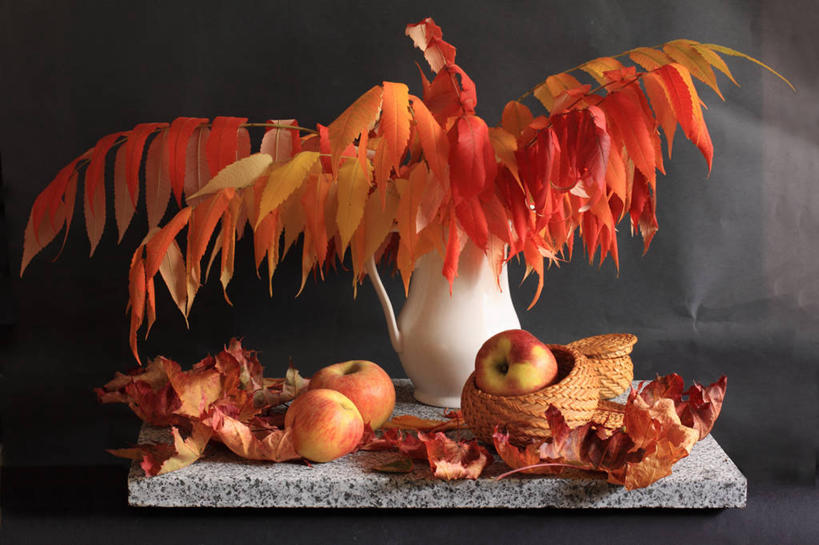 无人,横图,苹果,静物,花瓶,水果,叶子,乌克兰,黑色背景,枫叶,饮食,自然,摄影,清新,改变,健康食物,秋天,彩图,影棚拍摄