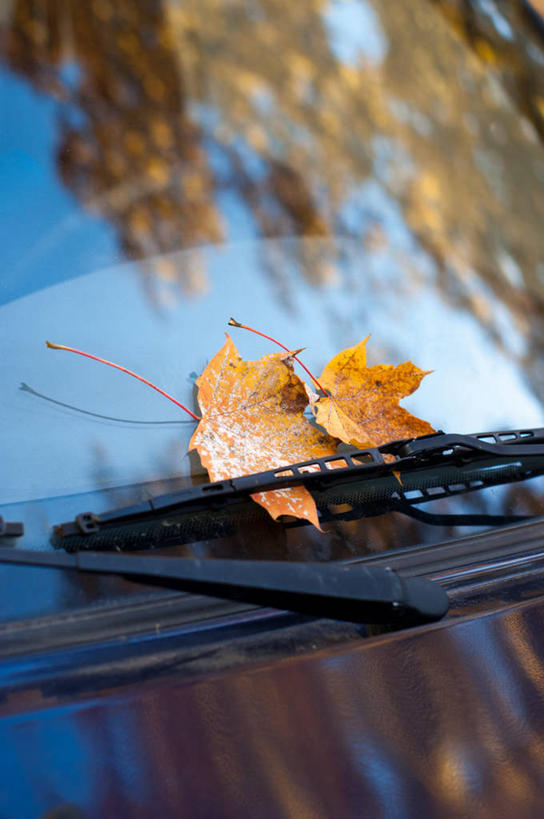 无人,竖图,室外,特写,白天,汽车,德国,反射,雨刷器,雨刷,慕尼黑,树,天空,运输,摄影,雨刮器,脆弱,改变,汽车部件,巴伐利亚,刮雨器,彩图,风帽