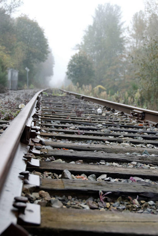 无人,竖图,室外,白天,雾,路,铁路,美国,轨道,交通,铁轨,树,天空,运输,摄影,沙砾,彩图