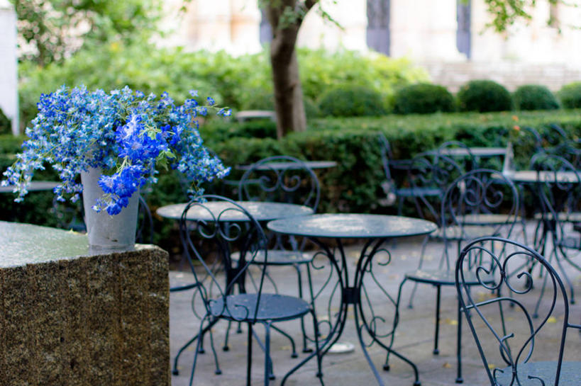 无人,横图,室外,白天,桌子,椅子,法国,花,树,蓝色,摄影,清新,里昂,树篱,彩图