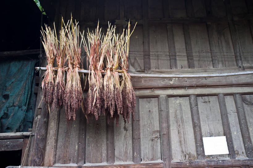 无人,横图,室外,白天,农业,吊挂,悬挂,屋檐,乡村,挂,摄影,秧苗,湖南省,彩图