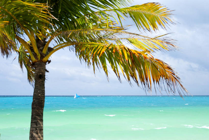 帆船,无人,横图,室外,白天,海洋,美景,船,棕榈树,菲律宾,亚洲,景观,云,风景,天空,自然,交通工具,景色,运输,摄影,宁静,自然风光,载具,长滩岛,海滩,彩图