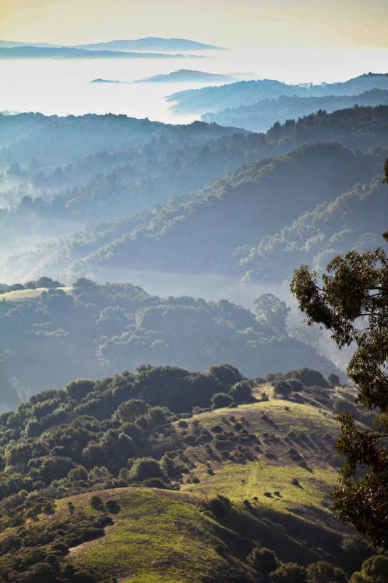 无人,竖图,室外,白天,美景,山,山脉,峡谷,美国,景观,云,树,天空,自然,景色,摄影,宁静,加利福尼亚,自然风光,月桂树,奥克兰,自然地理,彩图