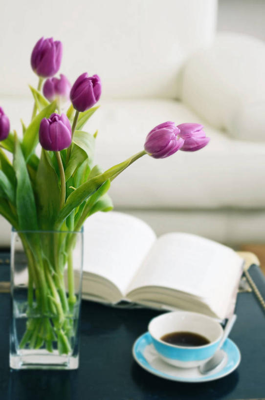 无人,竖图,室内,特写,沙发,郁金香,花瓶,意大利,红茶,饮食,花,紫色,茶碟,汤匙,摄影,起居室,脆弱,清新,米兰,茶杯,书,彩图