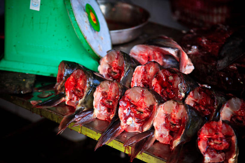 无人,横图,室外,购物,消费,渔业,桌子,越南,亚洲,丰富,食品,集市,市场,鱼类,饮食,零售,金融,摄影,东南亚,选购,贸易,越南社会主义共和国,海产,彩图,鱼市,老街省,沙坝县