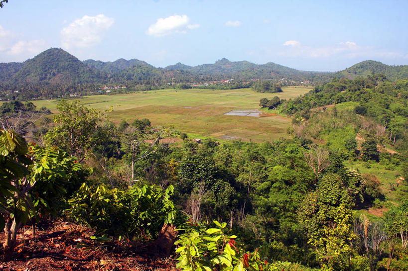 无人,横图,室外,白天,森林,山,印度尼西亚,稻田,地形,云,树,风景,天空,自然,摄影,宁静,常绿树,可可树,彩图,广角