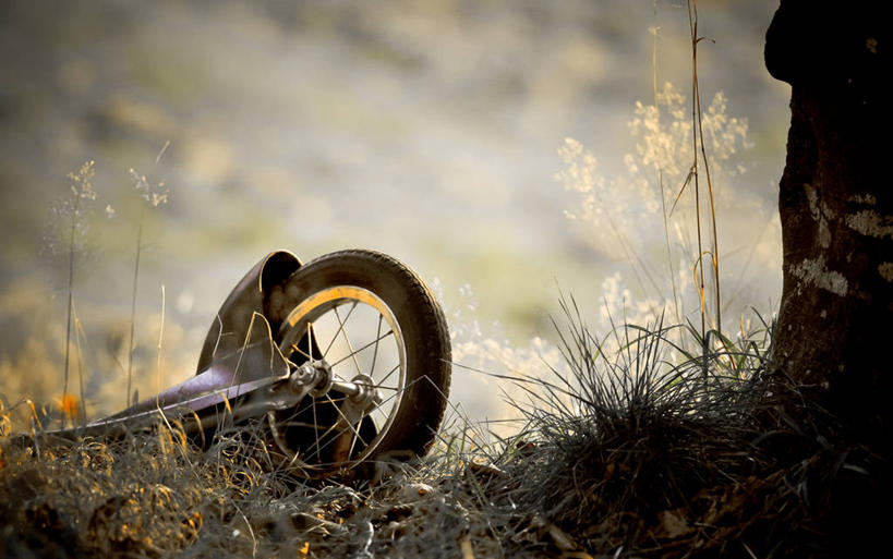无人,横图,室外,白天,玩具,挪威,废弃,草,摄影,报废,废物,不幸,迷路,丢弃,放弃,抛弃,卑尔根,摈弃,彩图,屏弃,摈斥,摒除