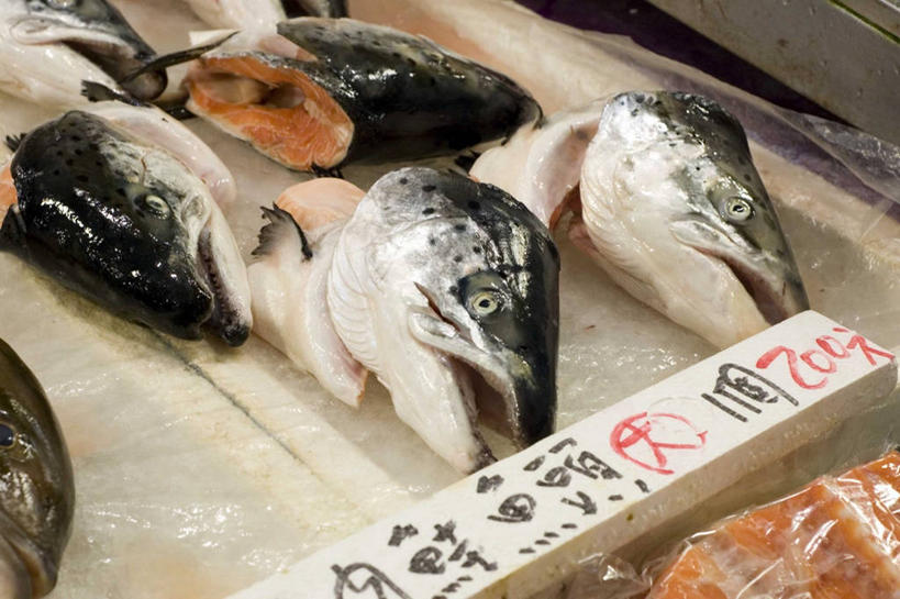 无人,横图,室外,白天,通讯,渔业,台湾,标志,文字,字符,字母,标识,鱼类,饮食,零售,摄影,清新,基隆,海产,彩图,鱼市