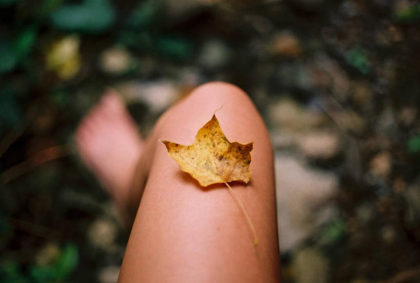 成年人,腿,一个人,横图,室外,特写,白天,叶子,美国,仅一个女性,自然,赤脚,放松,摄影,部分,改变,四肢,秋天,彩图