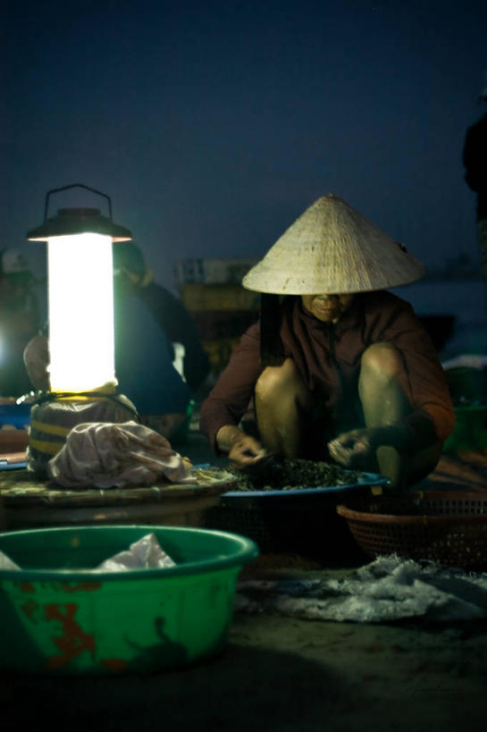 成年人,一个人,蹲,竖图,室外,夜晚,正面,渔业,越南,仅一个女性,市场,零售,摄影,照亮,岘港,彩图,传统服装