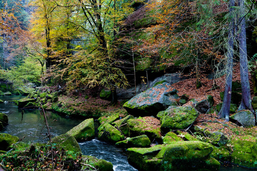 无人,横图,室外,白天,美景,水,德国,景观,苔藓,树,自然,景色,摄影,宁静,国家公园,自然风光,改变,萨克森,岩石,秋天,彩图