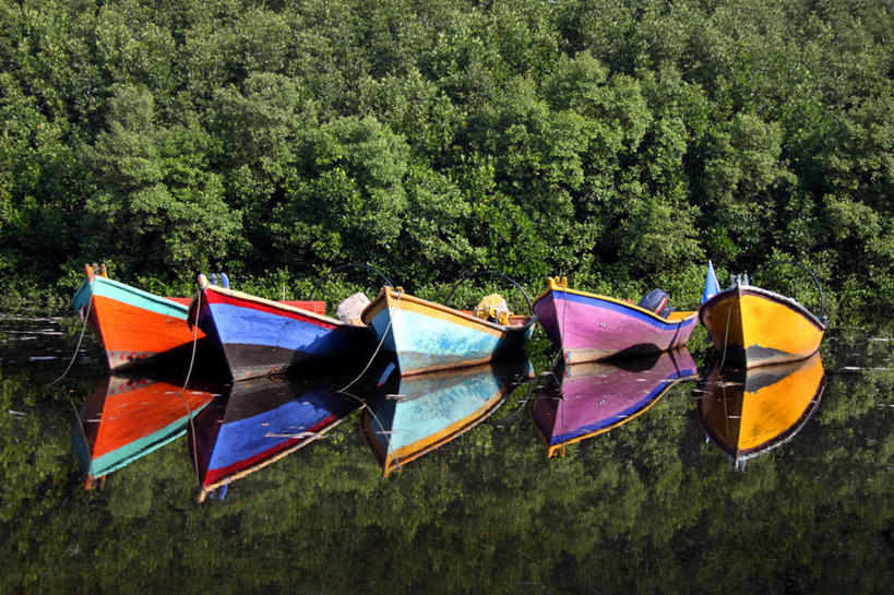 无人,横图,室外,白天,河流,水,船,马来西亚,一排,停靠,整齐,反射,树,排列,自然,运输,摄影,队列,停泊,蛇河,彭亨州,彩图