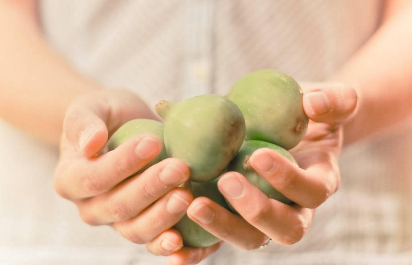 手,一个人,横图,室内,特写,水果,意大利,五个,许多,拿着,休闲装,饮食,摄影,部分,清新,健康食物,捧着,彩图