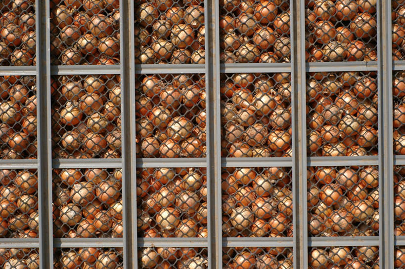 无人,横图,室外,白天,背景,蔬菜,洋葱,日本,许多,丰富,笼子,很多,饮食,摄影,清新,彩图,全画面,全框架,全帧,全画幅