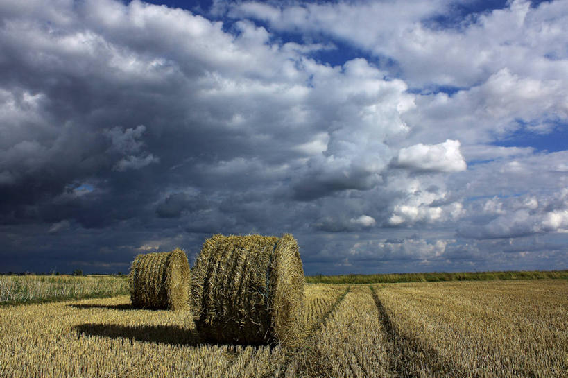 无人,横图,室外,白天,农业,法国,地平线,田地,云,辽阔,干草,地面,草,天空,自然,草垛,广阔,摄影,宁静,一望无际,延伸,天地相交,无边无际,一马平川,干草垛,彩图
