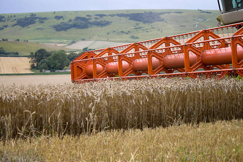 无人,农场,横图,室外,白天,农业,农作物,技术,英国,田地,树,天空,自然,摄影,收获,农具,发展,耕具,彩图