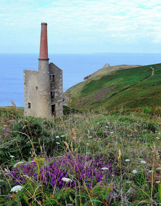 无人,竖图,室外,白天,采矿业,海洋,建筑,英国,房屋,水平线,云,草,花,天空,自然,摄影,宁静,矿产,矿物,彩图