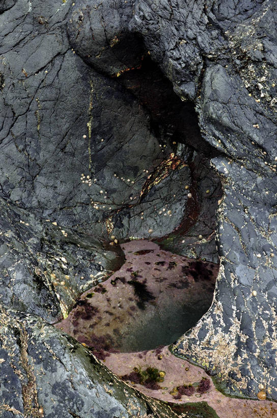 无人,竖图,室外,白天,美景,英国,景观,自然,景色,摄影,自然风光,彭布罗克郡,岩石,彩图,潮水坑