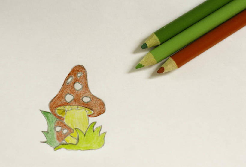 无人,横图,俯视,特写,白色背景,英国,蘑菇,首都,三个,铅笔,摄影,多样,想法,美术工艺,彩图,高角度拍摄,影棚拍摄,彩色铅笔