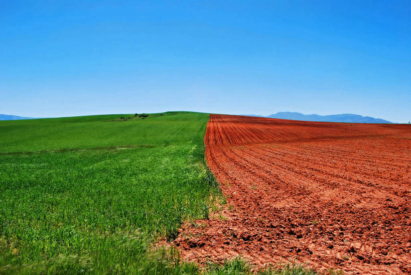 无人,横图,室外,白天,农业,西班牙,田地,摄影,生长,宁静,万里无云,彩图,耕地,瓜达拉哈拉省