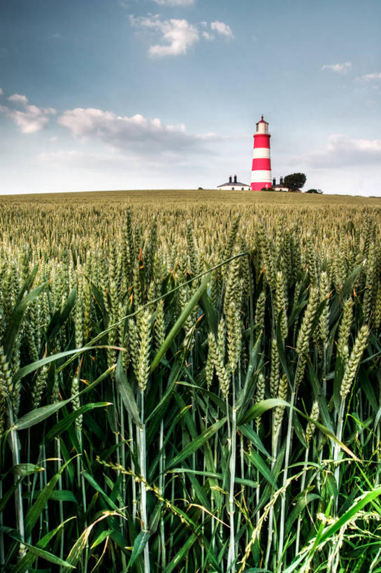 无人,竖图,室外,白天,农业,农作物,小麦,道路,英国,信息,田地,云,谷类,灯塔,交通,方向,天空,自然,摄影,生长,引导,指导,指引,航标,彩图,导航