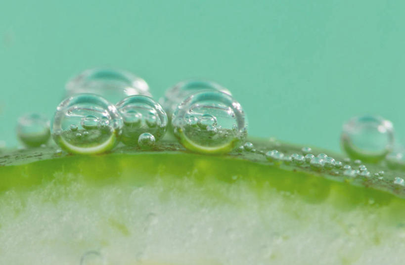 无人,横图,室内,白天,微距,水,柠檬,哥斯达黎加,饮食,泡泡,冷饮,摄影,部分,北美,北美洲,脆弱,苏打,清新,美洲,健康食物,首府,北亚美利加洲,亚美利加洲,哥斯达黎加共和国,玻璃杯,彩图,阿拉胡埃拉省,阿拉胡埃拉