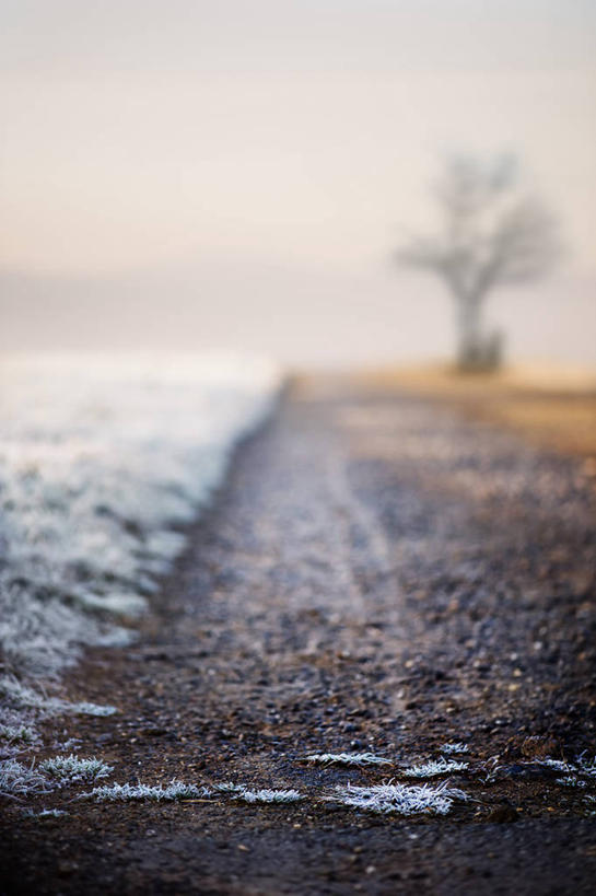 无人,竖图,室外,白天,德国,地形,冬天,霜,草,天空,自然,寒冷,摄影,宁静,早晨,彩图,单行道