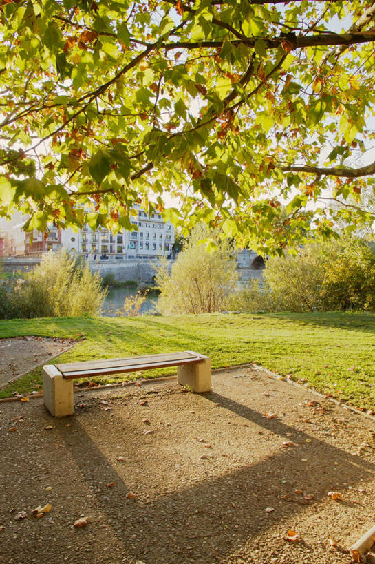 无人,竖图,室外,白天,日光,西班牙,欧洲,长椅,地形,枝,草,树,自然,摄影,宁静,南欧,西班牙王国,卡斯蒂利亚,莱昂,卡斯蒂利亚.莱昂,莱昂省,彩图