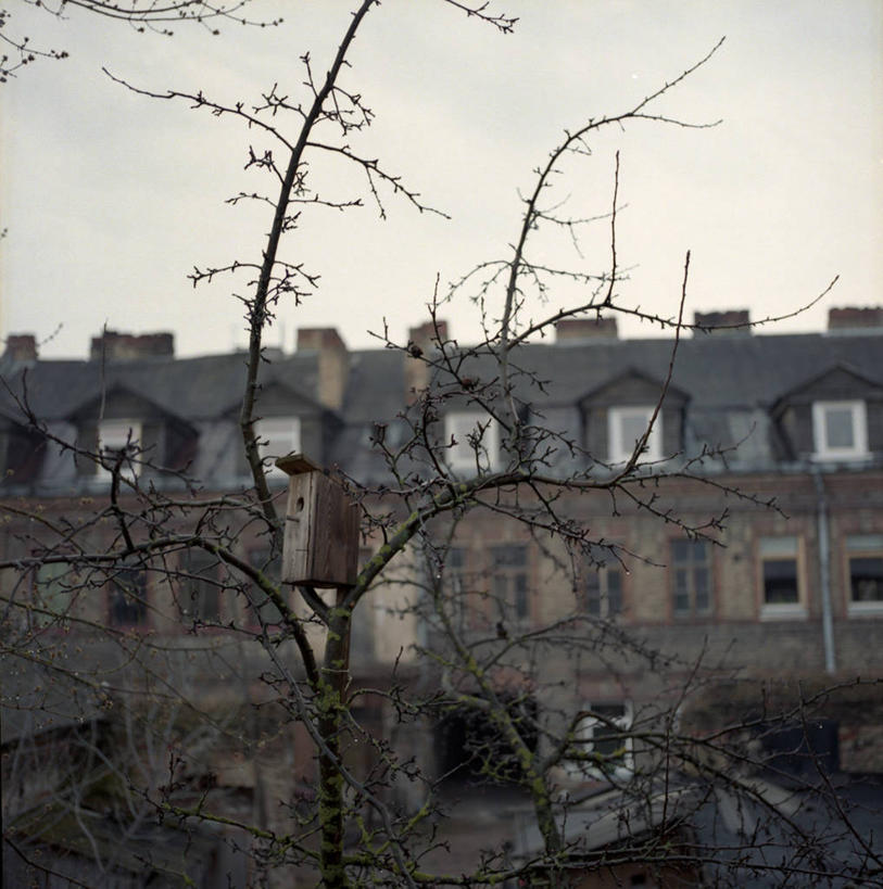 无人,竖图,室外,白天,建筑,云,树,天空,摄影,立陶宛共和国,彩图