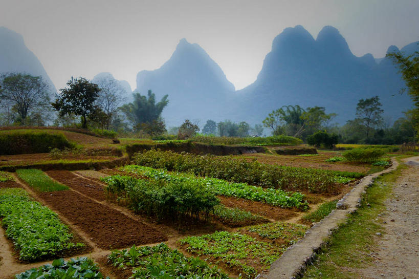 无人,横图,室外,白天,旅游,度假,美景,山,山脉,地形,景观,娱乐,树,风景,自然,享受,休闲,景色,放松,摄影,生长,宁静,自然风光,阳朔,彩图