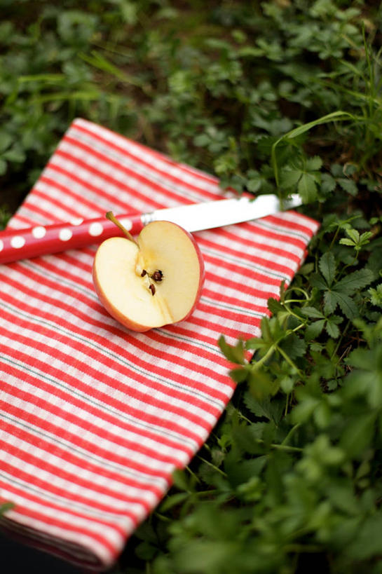 无人,竖图,室外,特写,白天,苹果,水果,意大利,圆点,野餐,饮食,草,红色,餐巾,摄影,清新,餐刀,健康食物,彩图