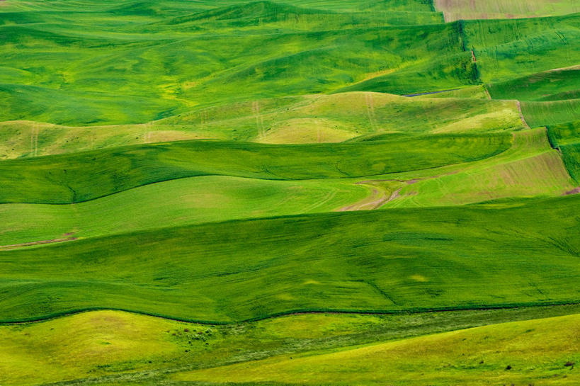 无人,横图,室外,白天,农业,美国,地形,田地,草,摄影,生长,宁静,帕卢斯,彩图