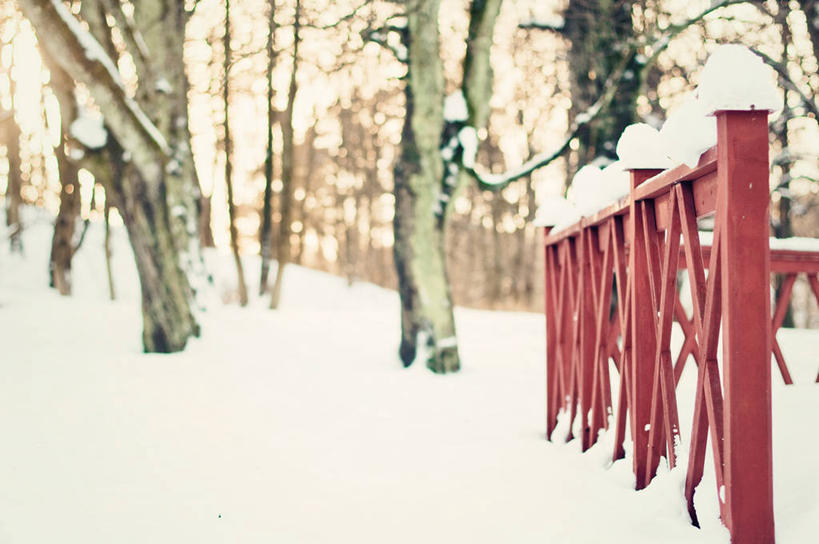 无人,横图,室外,白天,雪,瑞典,篱笆,冬天,树,红色,自然,寒冷,摄影,保护,宁静,哥德堡,彩图