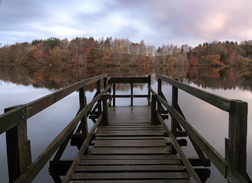 无人,码头,横图,室外,日出,美景,英国,反射,木制,景观,苏格兰,水库,树,风景,天空,自然,景色,摄影,宁静,自然风光,死水,中洛锡安,彩图