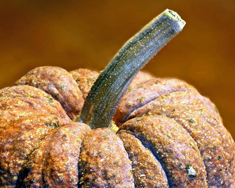 无人,横图,室内,特写,南瓜,蔬菜,美国,曲折,生食,饮食,摄影,清新,坎坷,崎岖,彩图