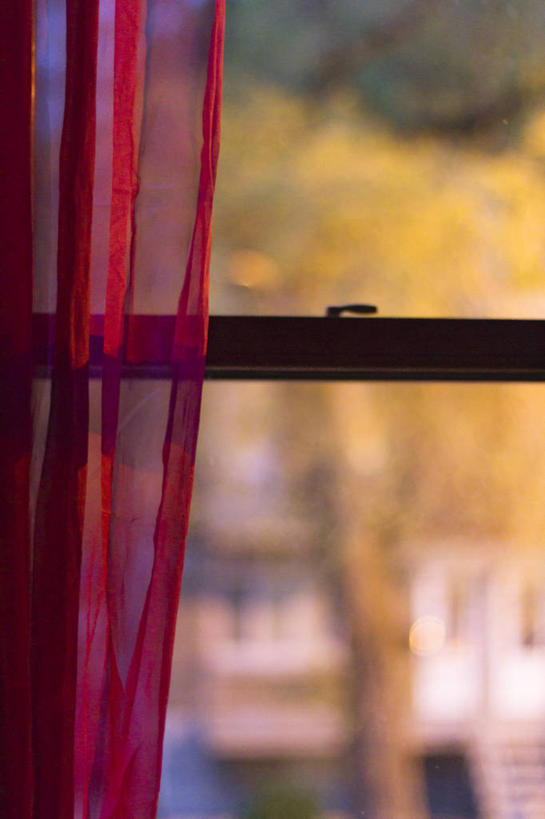 无人,竖图,室内,白天,窗户,窗帘,加拿大,树,粉色,摄影,保护,蒙特利尔,彩图