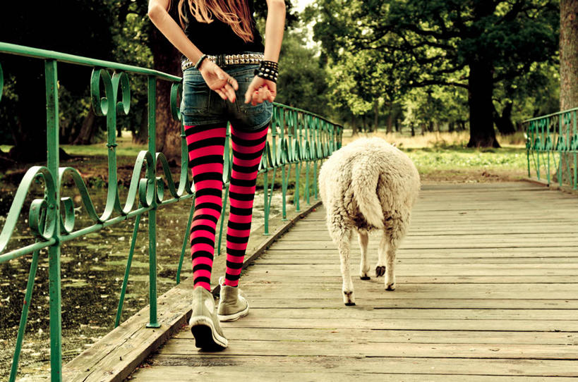 成年人,一个人,横图,室外,白天,瑞典,仅一个年轻女性,仅一个女性,仅一个人,条纹,木制,桥,首都,休闲装,树,背面,自然,动物,家畜,摄影,牲畜,紧身裤,年轻女性,女人,女性,年轻人,绵羊,步行,彩图