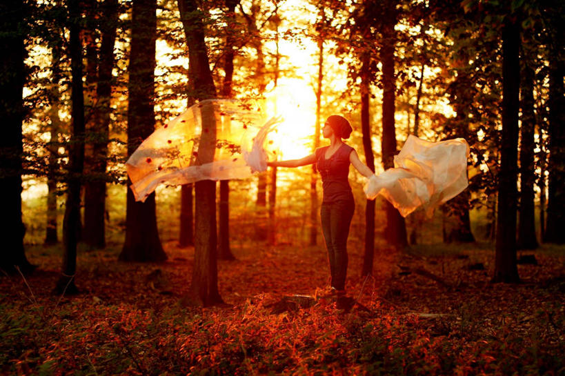 成年人,一个人,站,举,横图,室外,镜头眩光,幸福,日落,森林,风,纺织品,日光,德国,仅一个女性,树,托,个性,摄影,无忧无虑,举起,举手,举着,向上举,向上伸,向上托,彩图