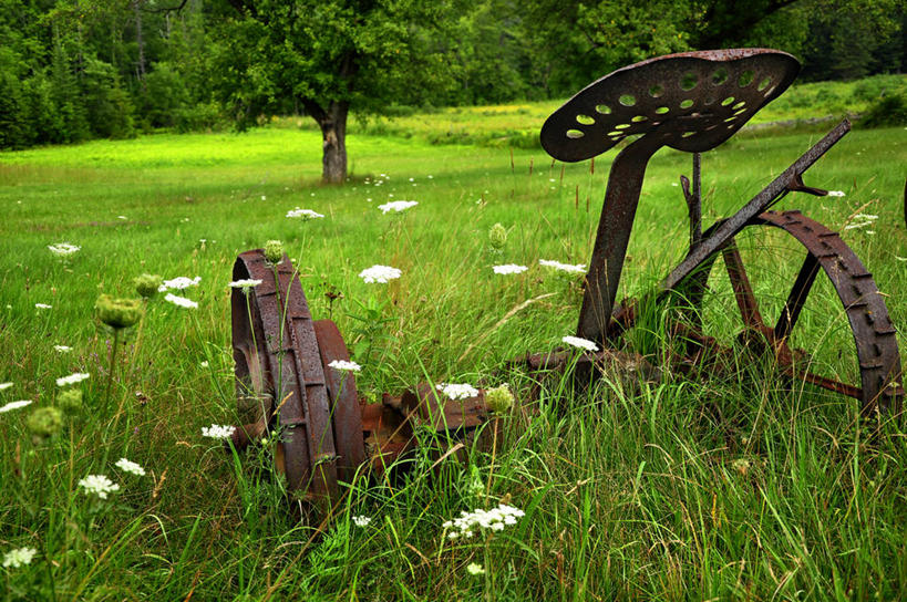 无人,横图,室外,白天,农业,机器,美景,美国,废弃,生锈,地形,景观,草,花,树,自然,机械,景色,摄影,生长,报废,宁静,腐蚀,侵蚀,废物,自然风光,丢弃,农具,放弃,抛弃,纽约州,奥尔巴尼,耕具,腐化,摈弃,锈迹斑斑,彩图,屏弃,摈斥,摒除,农业机械