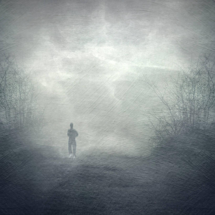 成年人,一个人,跑,方图,黑白,室外,白天,雾,德国,仅一个男性,纹路,纹理,田地,天气,树,摄影,慢跑,肌理,伍珀塔尔,独处