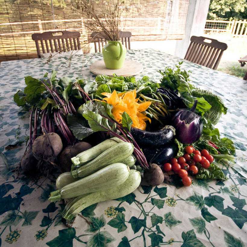 无人,方图,室外,白天,桌子,蔬菜,花瓶,椅子,意大利,饮食,摄影,多样,清新,托斯卡纳区,彩图