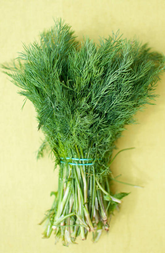 无人,竖图,俯视,特写,加拿大,黄色背景,捆,饮食,线绳,摄影,脆弱,清新,莳萝,彩图,高角度拍摄,影棚拍摄