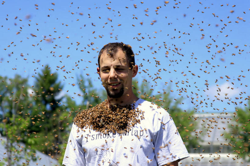 成年人,脸,头,脸颊,胡须,一个人,站,横图,正面,风险,野生动物,蜜蜂,美国,仅一个男性,仅一个人,一群,许多,昆虫,云,很多,休闲装,飞,肩膀,仅一个年轻男性,天空,摄影,牲畜,勇气,无忧无虑,普尔曼,危险,男人,男性,年轻男性,年轻人,头部,胡子,络腮胡,脸部,脸蛋,面部,彩图