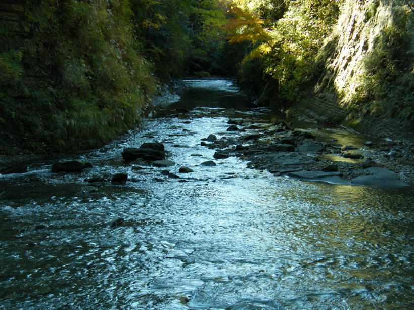 无人,横图,室外,白天,河流,日光,日本,反射,树,小溪,自然,摄影,宁静,千叶,秋天,彩图