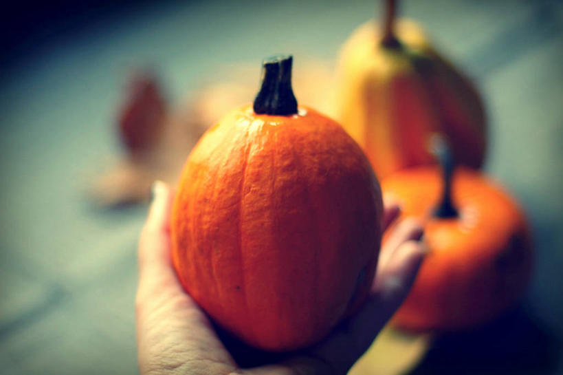 手,一个人,横图,室内,特写,南瓜,蔬菜,荷兰,拿着,饮食,摄影,部分,清新,鹿特丹,彩图