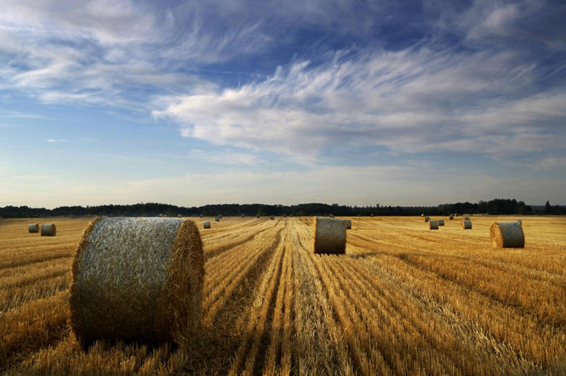 无人,横图,室外,白天,农业,法国,地形,田地,云,干草,天空,自然,草垛,卷起,摄影,宁静,干草垛,彩图