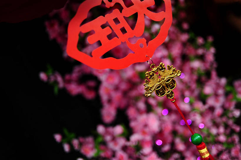 无人,横图,室外,特写,夜晚,新加坡,吊挂,悬挂,庆祝,装饰,挂,树,摄影,中国文化,式样,彩图