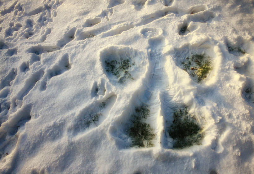 无人,横图,室外,白天,雪,英国,地形,草,自然,寒冷,摄影,创造力,式样,想法,彩图