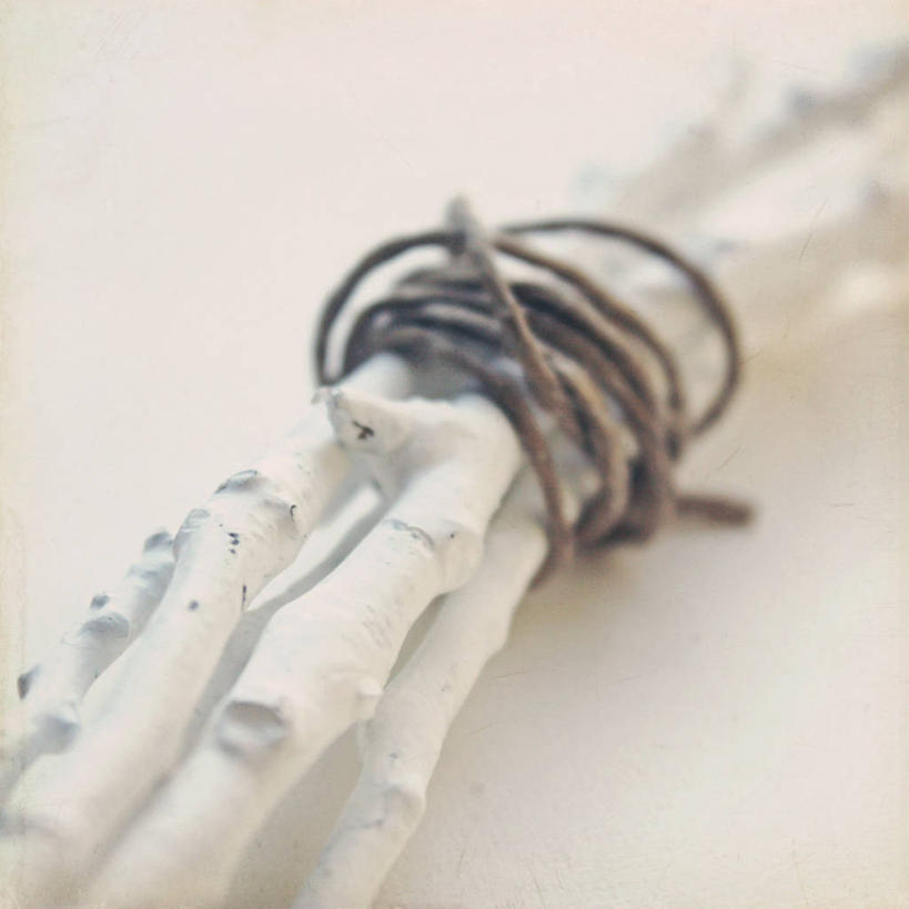 无人,方图,特写,白色背景,美国,捆,白色,摄影,便利,宾夕法尼亚,嫩枝,彩图,影棚拍摄