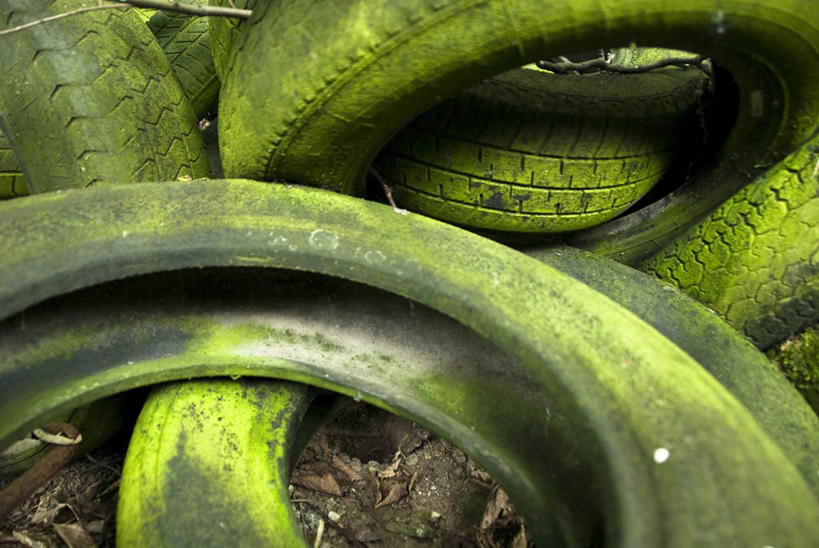 无人,横图,室外,特写,白天,英国,丰富,苔藓,绿色,轮胎,摄影,堆,彩图,卡斯尔顿